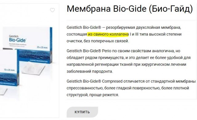 Россияне смогут бесплатно пересадить себе органы свиней — услуга будет доступна по ОМС.