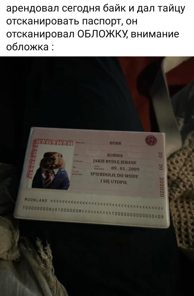 Скан паспорта BOBR KURWA