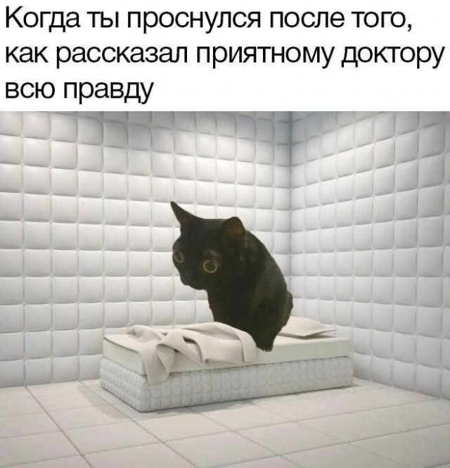 Картинки для деградации 180 (разной степени свежести)