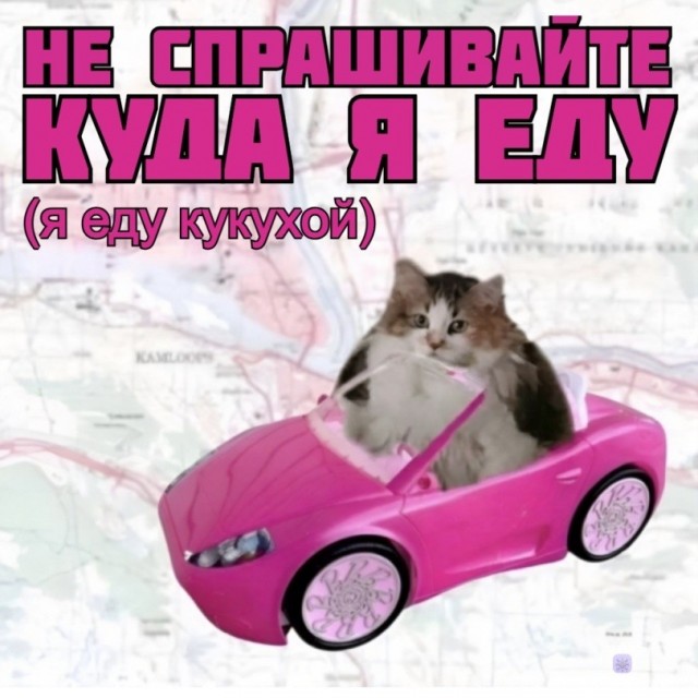 Картинки для деградации 186 (разной степени свежести)
