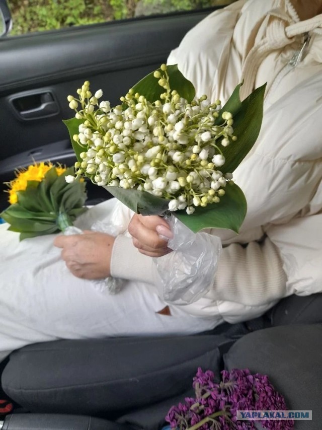 Не дать растаять Снегурчке. Нужна помощь всесильного Япа.