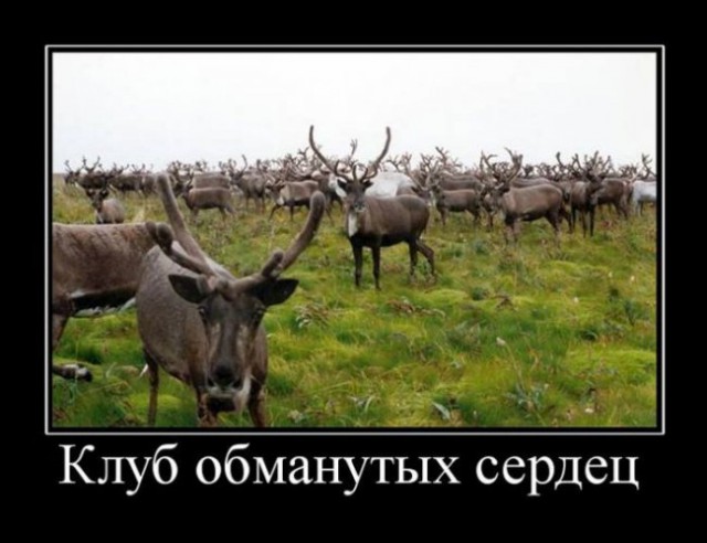 Валентинка 2