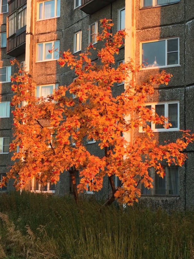 Мурманск - 60! Моя родина! Мой СЕВЕР!