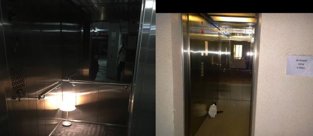 Подборка прикольных фото на среду
