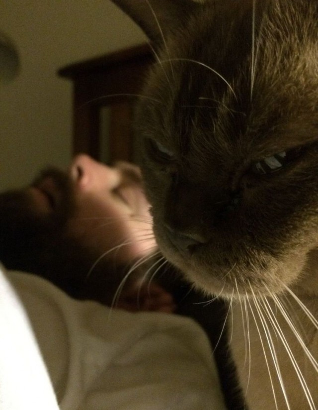 Картинки разные