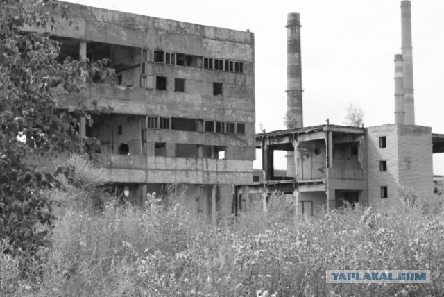 К вопросу халявной земли на Дальнем Востоке