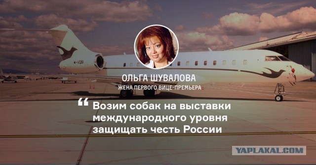 Суд объявил «праздным любопытством» официальный запрос СМИ по поводу самолета Шувалова