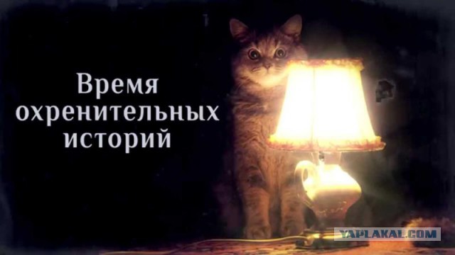 Пожарные мародёры?