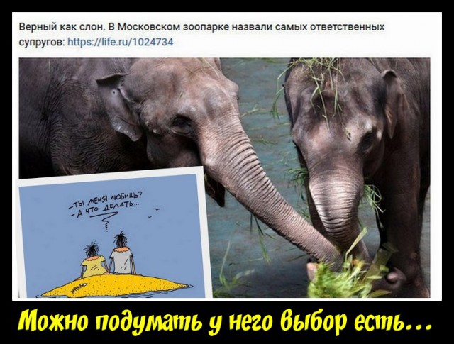 Подборка интересных и веселых картинок