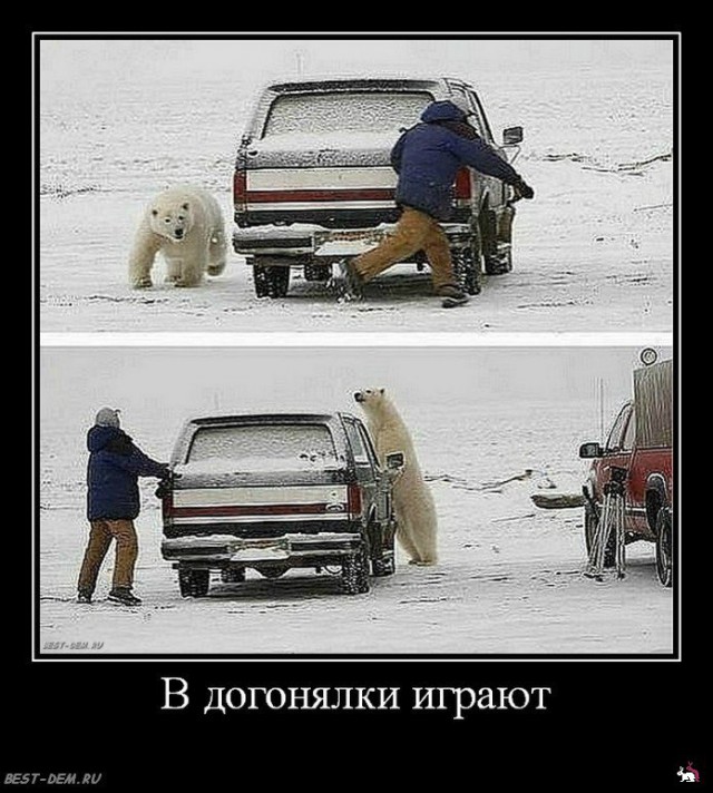 Картинки для настроения в пятницу.