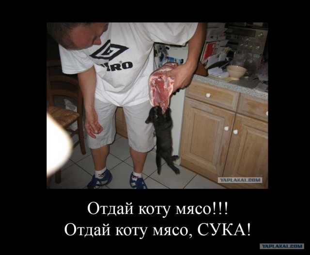 Отдай сюда, кому говорю!