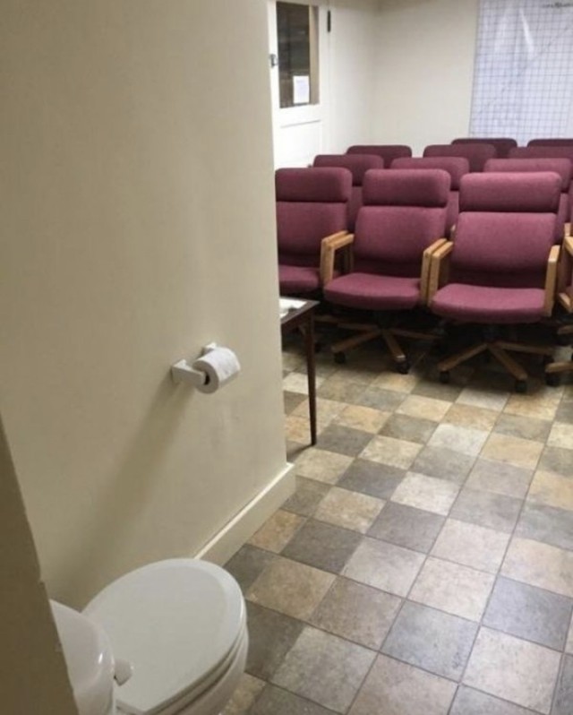 Лента прикольных картинок