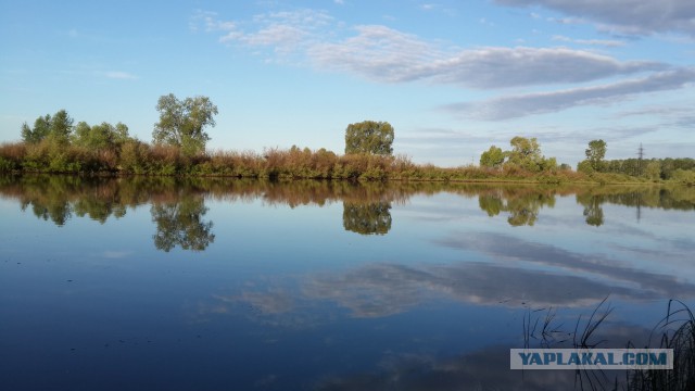 Соскучился по рыбалке