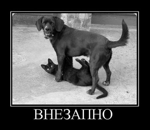 Демки и ностальджи