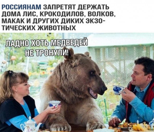 Картинки-позитивки