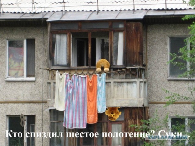 Конкурс: подпись к картинке