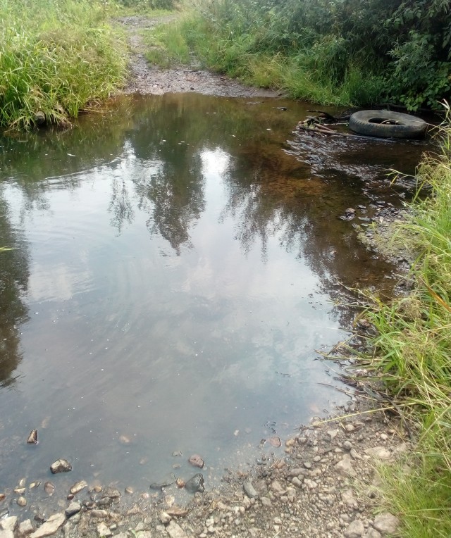 Где-то на Урале лес заменяет людям небо