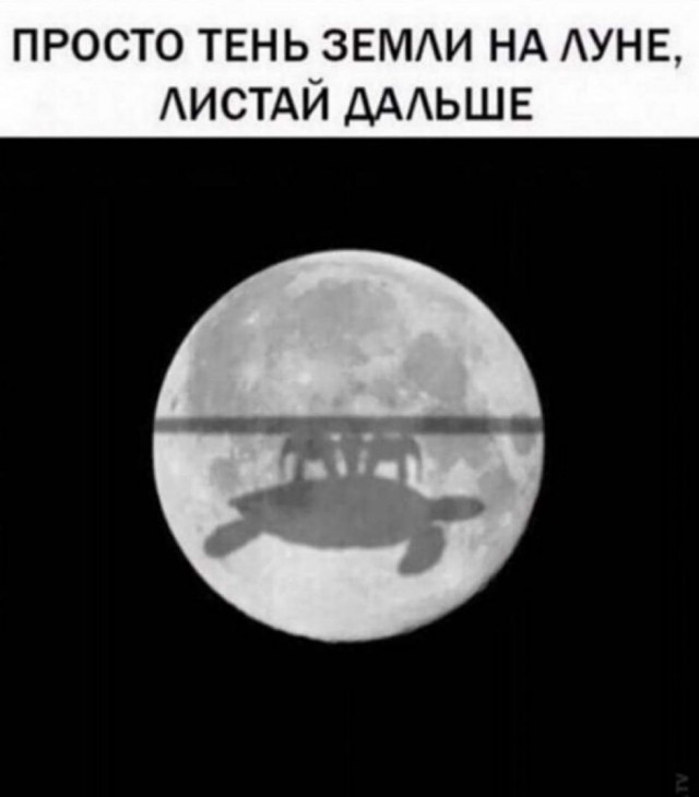 Юмор в картинках 17.11.20