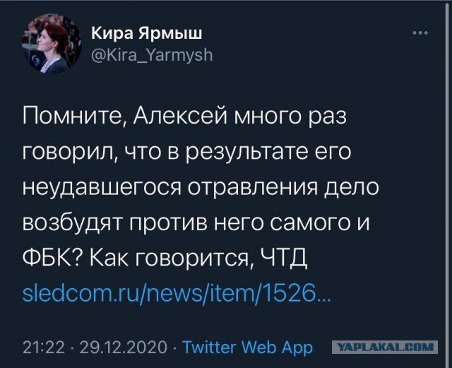 СК возбудил против Алексея Навального уголовное дело о мошенничестве в особо крупном размере