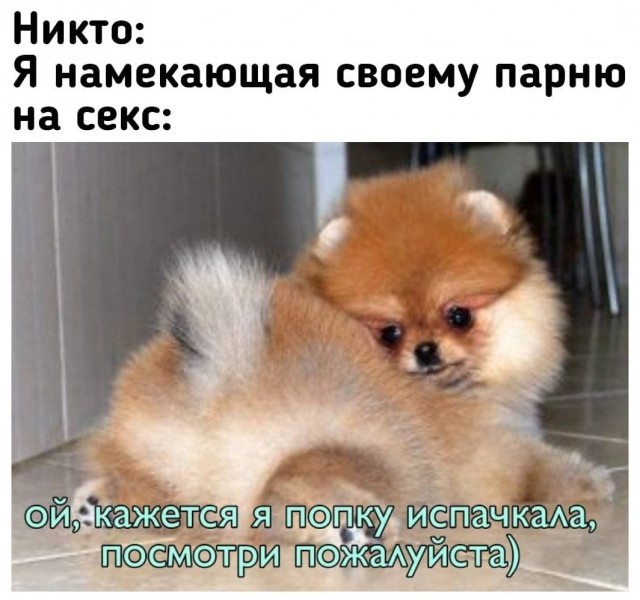Пятница. И немного слегка пошлых картинок с надписями и без 16+ (20.08))