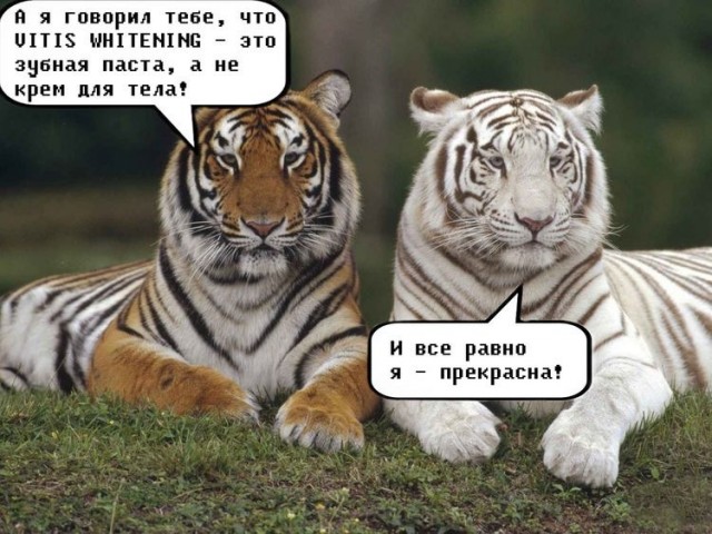 Картинки и мемы для настроения 18.10.2021