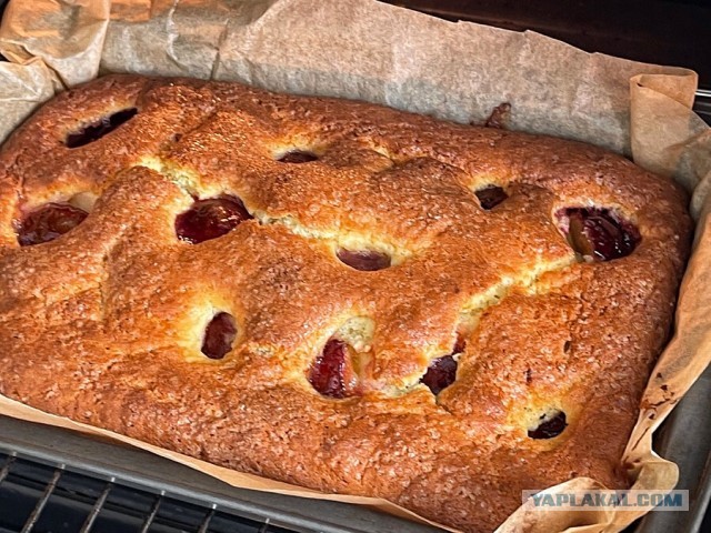 Быстро-вкусно: пирог на сметане с персиками