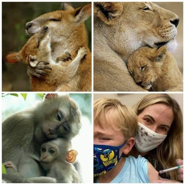 Так себе коронавирусные и не только картинки из Германии, часть 2