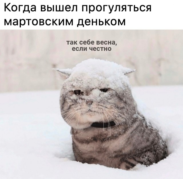 Так себе картинки 01.04.22