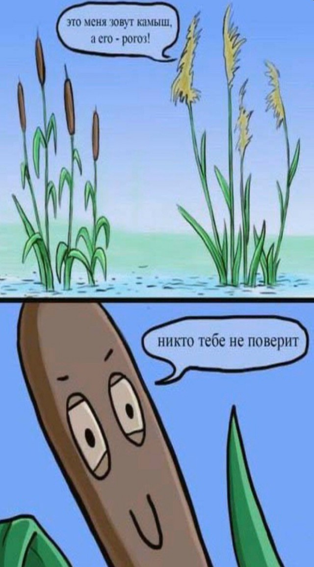 Э, а спасибо-то где?