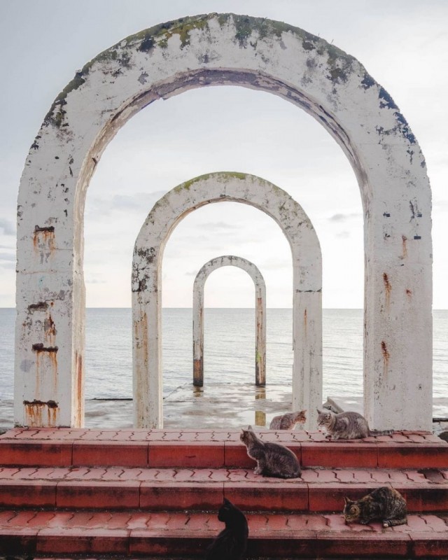 Картинка со звуком