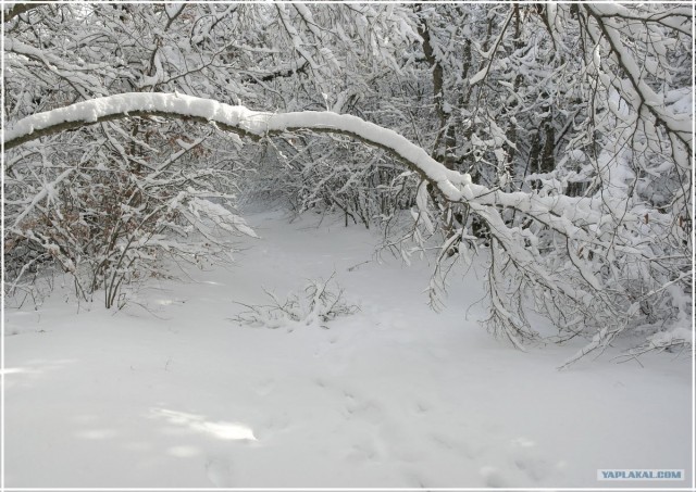 Крым. Терновка. Зимние дороги.