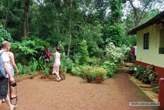 ГоА свои впечатления