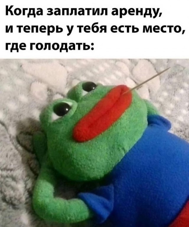 Не бейте баяниста - играет, как может