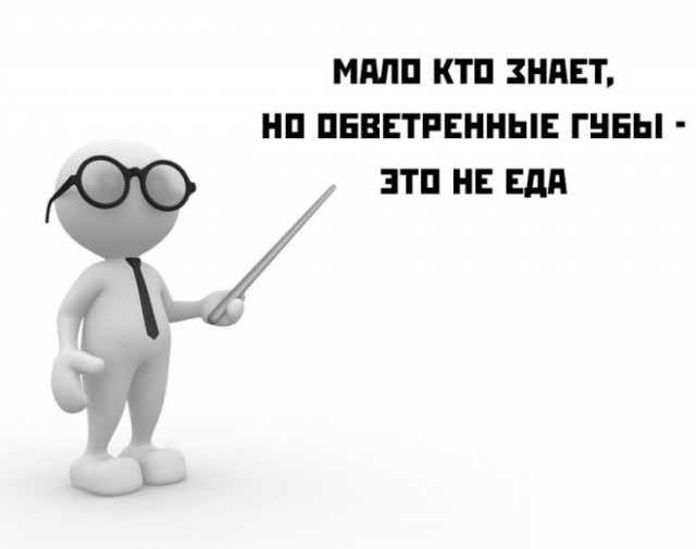 Немного картинок для настроения - 129
