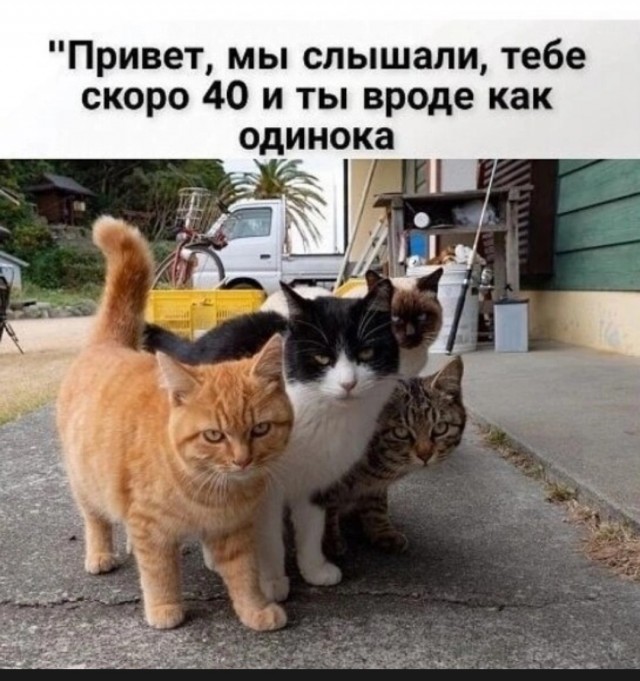 О жизни семейной, которая нужна не мне.