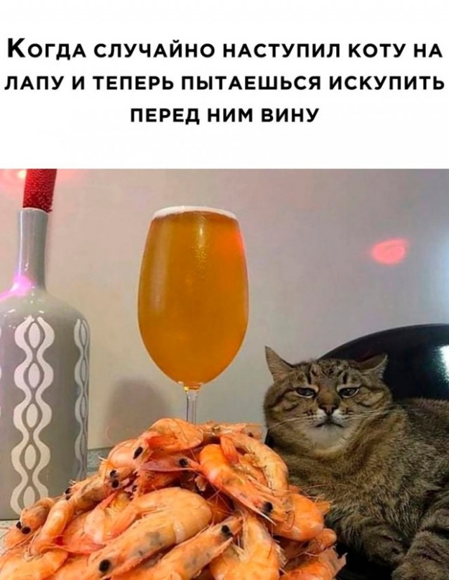 Немного картинок для настроения - 177