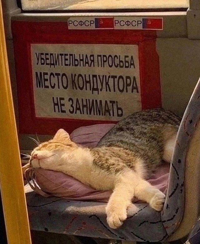 Так себе картинки 02.06.23