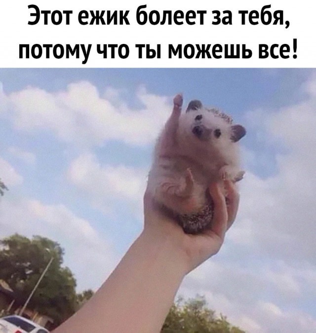 Картинки и мемы, всяко разно - 183