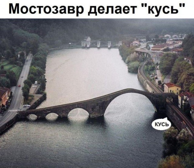 Весёлый полтишок 19.07.23