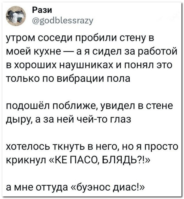 Забавные комментарии из социальных сетей (23.10.23)