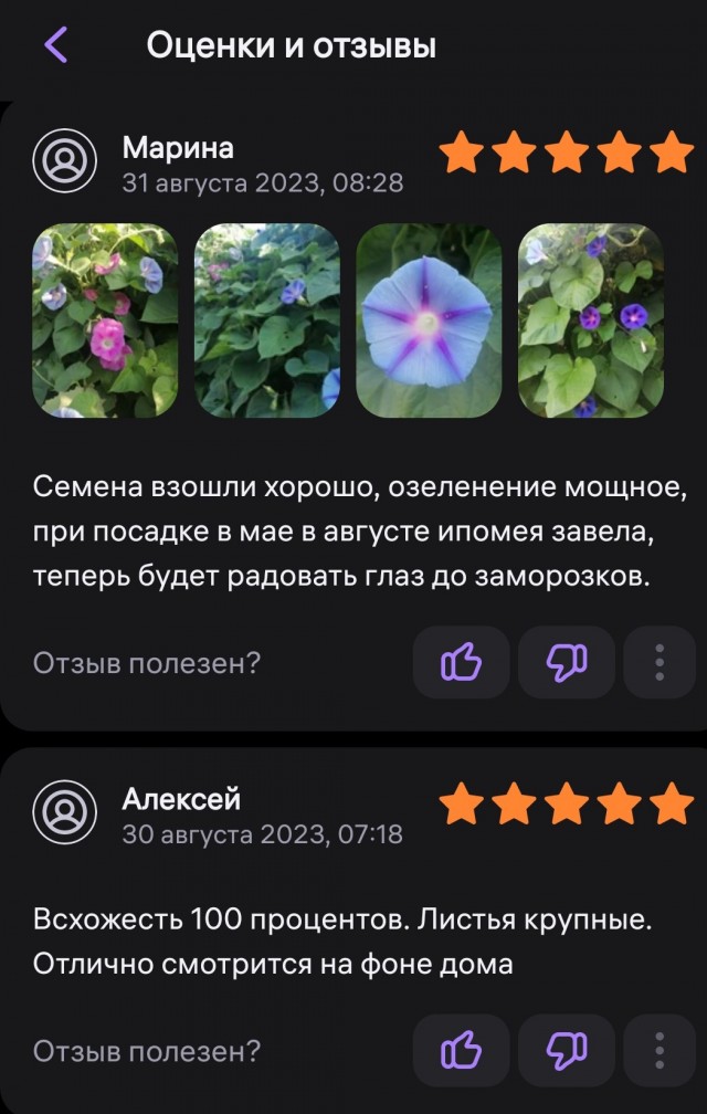 Россиян предупредили, какой цветок теперь нельзя выращивать на даче