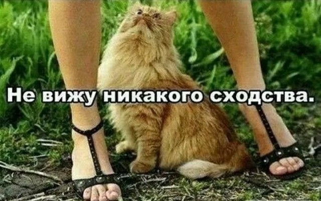 Деградильня