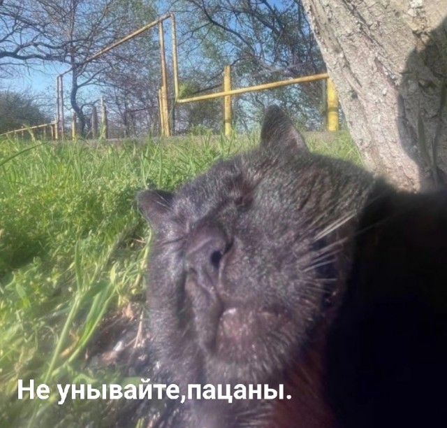 Коть, тебе нормально?