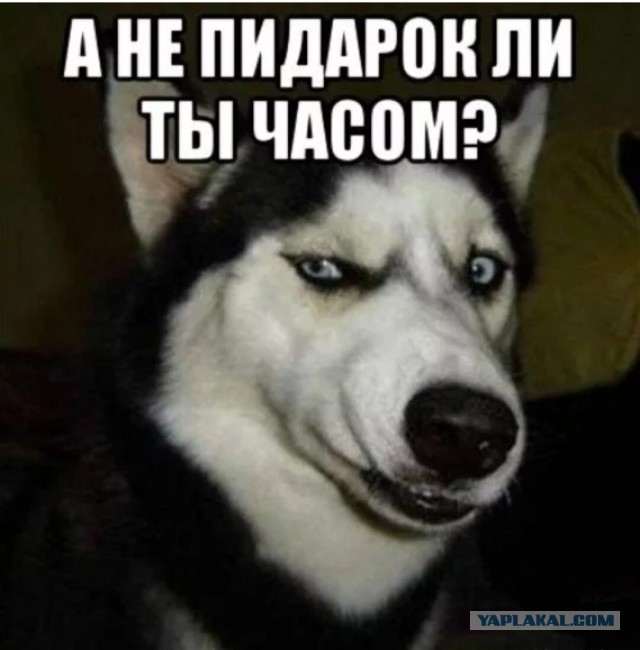 Сколько платят регионы контрактникам