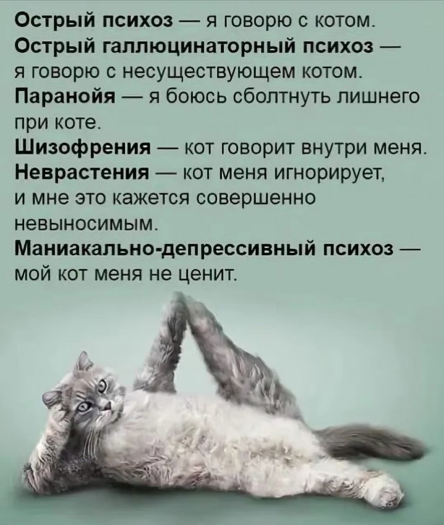 Так себе картинки 23.11.24
