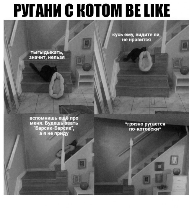 Так себе картинки 17.03.25