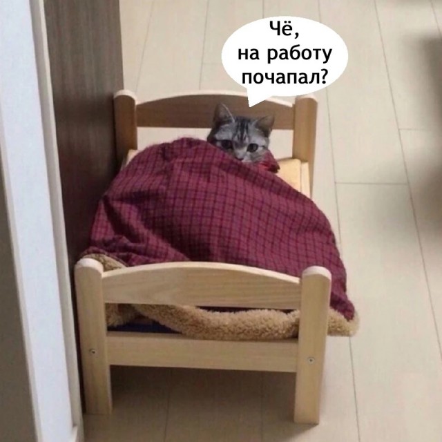 Так себе картинки 19.05.25