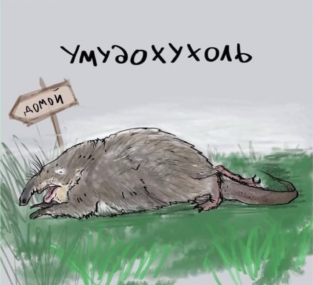 Так себе картинки 06.07.25