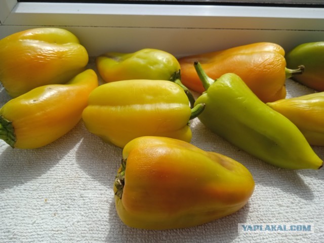 Почему на продукты не снижают цены