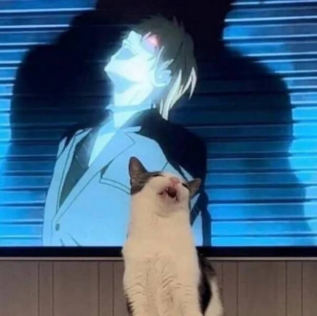 Чутка кошек